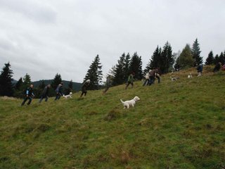 2009-10-03_ntb_9771