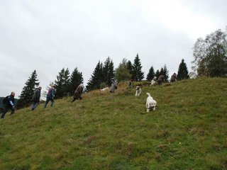2009-10-03_ntb_9772