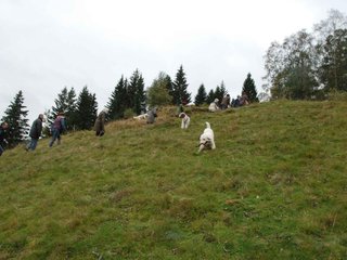 2009-10-03_ntb_9773