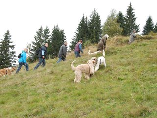 2009-10-03_ntb_9774