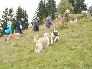 2009-10-03_ntb_9775