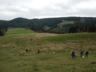 2009-10-03_ntb_9776