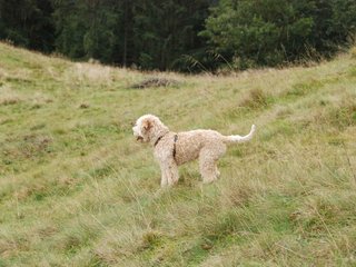 2009-10-03_ntb_9777