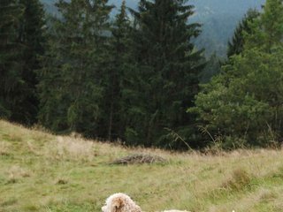 2009-10-03_ntb_9778