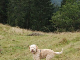 2009-10-03_ntb_9779