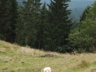 2009-10-03_ntb_9780