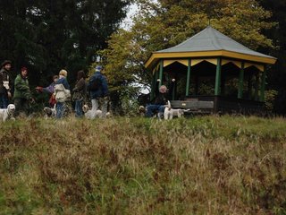 2009-10-03_ntb_9783