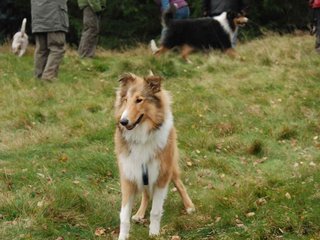2009-10-03_ntb_9785