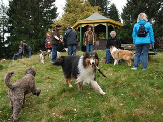 2009-10-03_ntb_9786