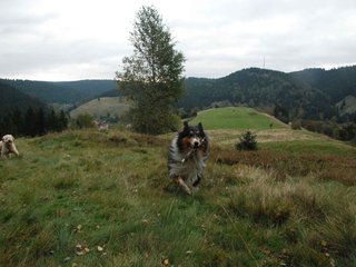 2009-10-03_ntb_9787