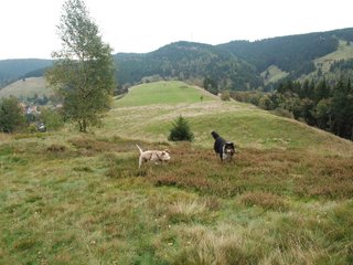 2009-10-03_ntb_9788