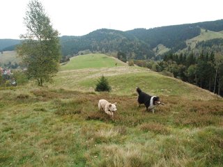 2009-10-03_ntb_9789