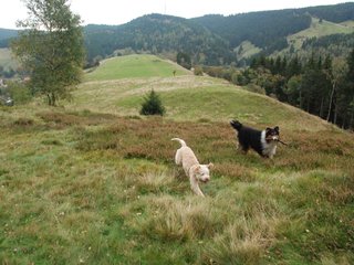 2009-10-03_ntb_9790