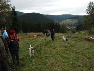 2009-10-03_ntb_9792