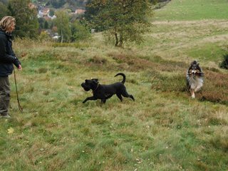 2009-10-03_ntb_9794
