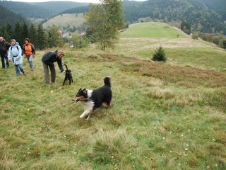 2009-10-03_ntb_9795