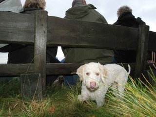 2009-10-03_ntb_9796