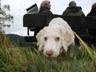 2009-10-03_ntb_9797