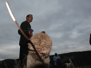 2009-10-03_ntb_9799