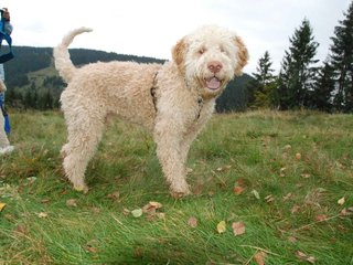 2009-10-03_ntb_9802