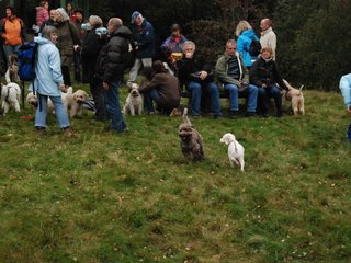 2009-10-03_ntb_9809