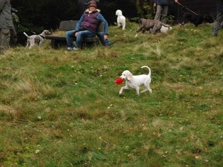 2009-10-03_ntb_9810