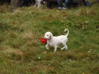 2009-10-03_ntb_9811