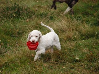 2009-10-03_ntb_9812