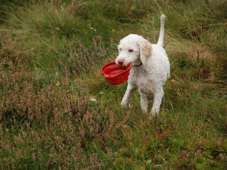 2009-10-03_ntb_9813