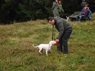 2009-10-03_ntb_9815