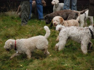 2009-10-03_ntb_9817