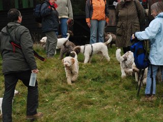 2009-10-03_ntb_9818
