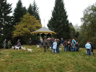 2009-10-03_ntb_9820