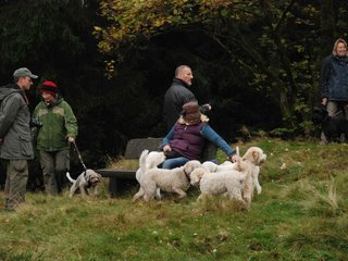 2009-10-03_ntb_9821