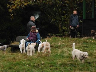 2009-10-03_ntb_9822