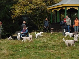 2009-10-03_ntb_9823