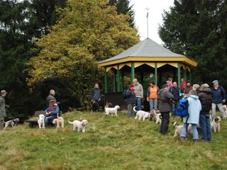 2009-10-03_ntb_9824