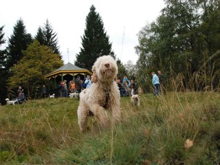 2009-10-03_ntb_9826