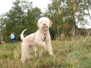 2009-10-03_ntb_9827