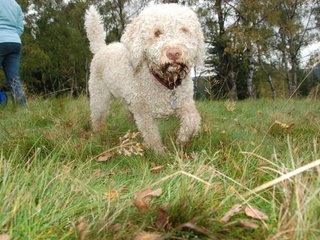 2009-10-03_ntb_9828