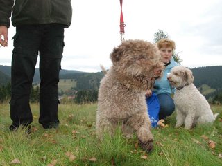2009-10-03_ntb_9832