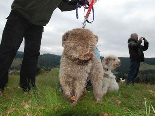 2009-10-03_ntb_9833