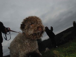 2009-10-03_ntb_9835