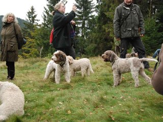2009-10-03_ntb_9836