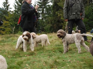 2009-10-03_ntb_9837