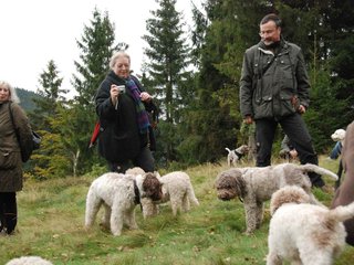 2009-10-03_ntb_9838
