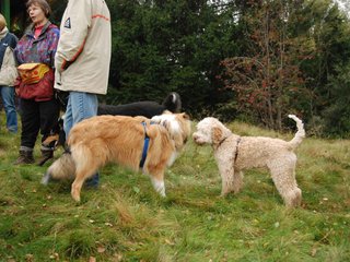 2009-10-03_ntb_9839