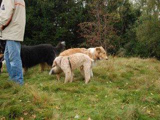 2009-10-03_ntb_9840