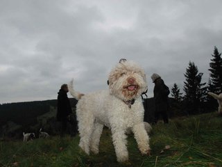 2009-10-03_ntb_9842