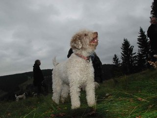 2009-10-03_ntb_9843